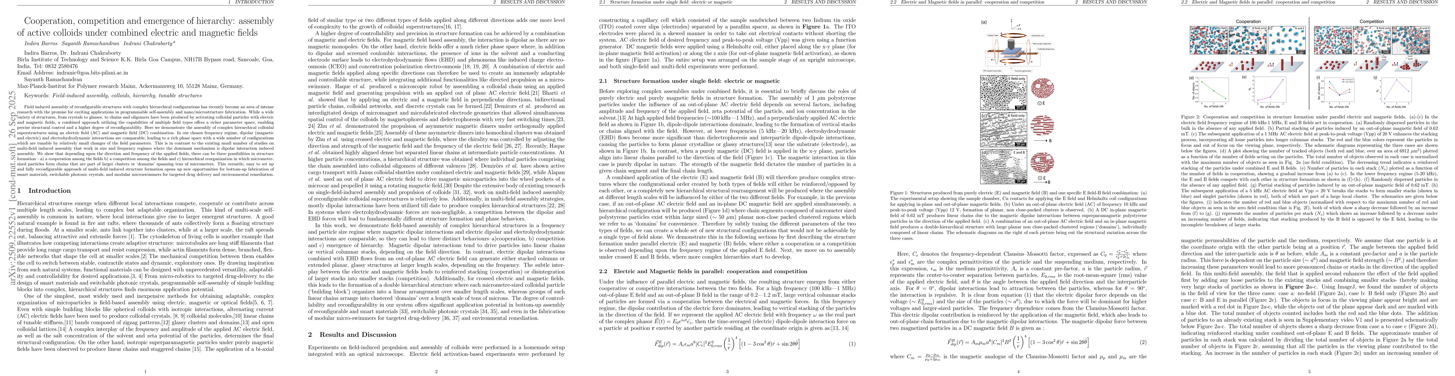 Thumbnail for Cooperation, competition and emergence of hierarchy: assembly of active
  colloids under combined electric and magnetic fields
