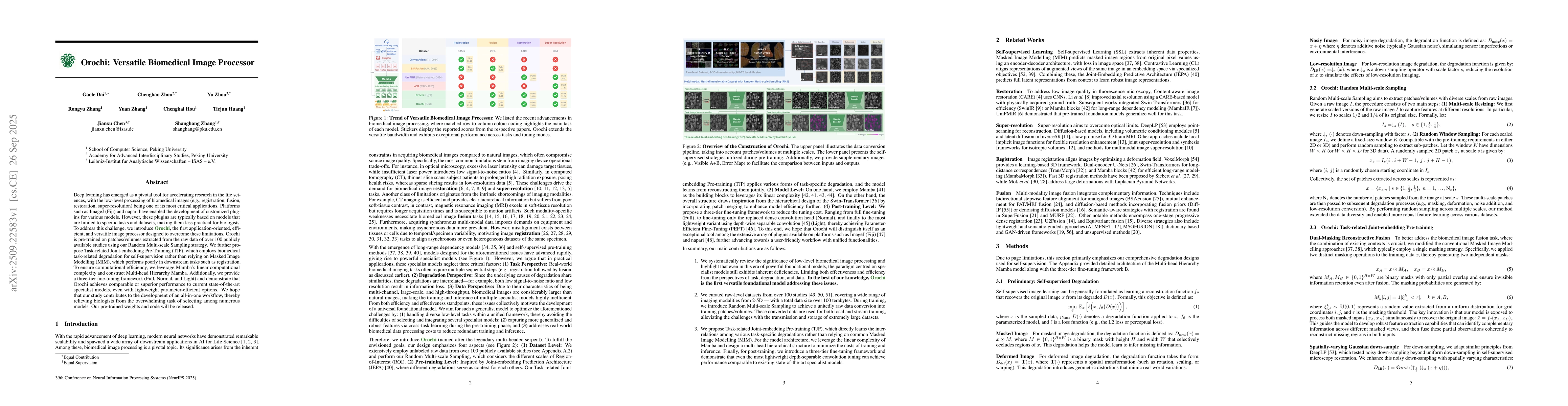 Thumbnail for Orochi: Versatile Biomedical Image Processor