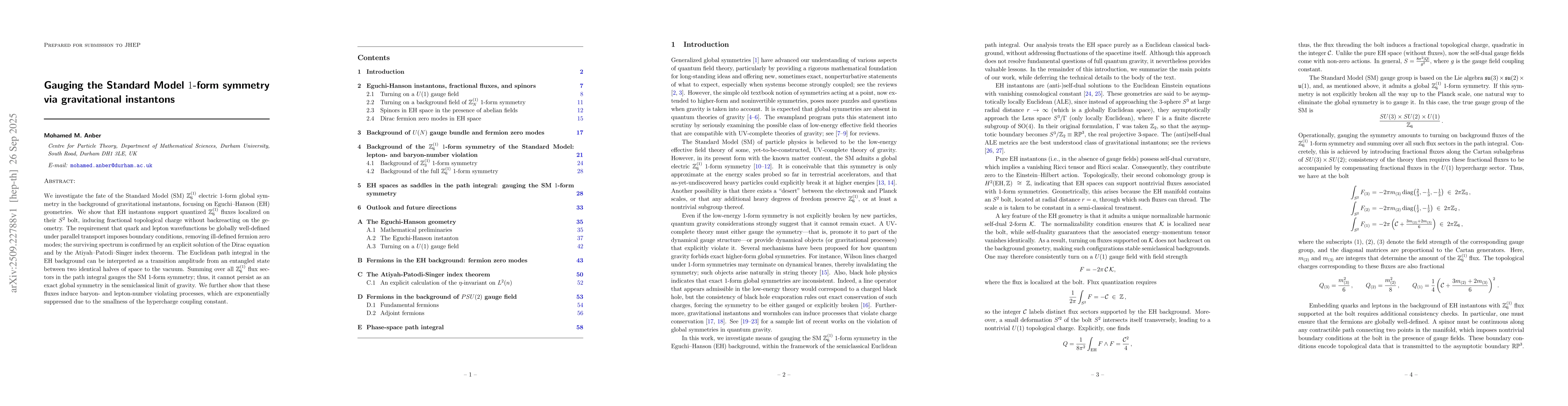 Thumbnail for Gauging the Standard Model 1-form symmetry via gravitational instantons