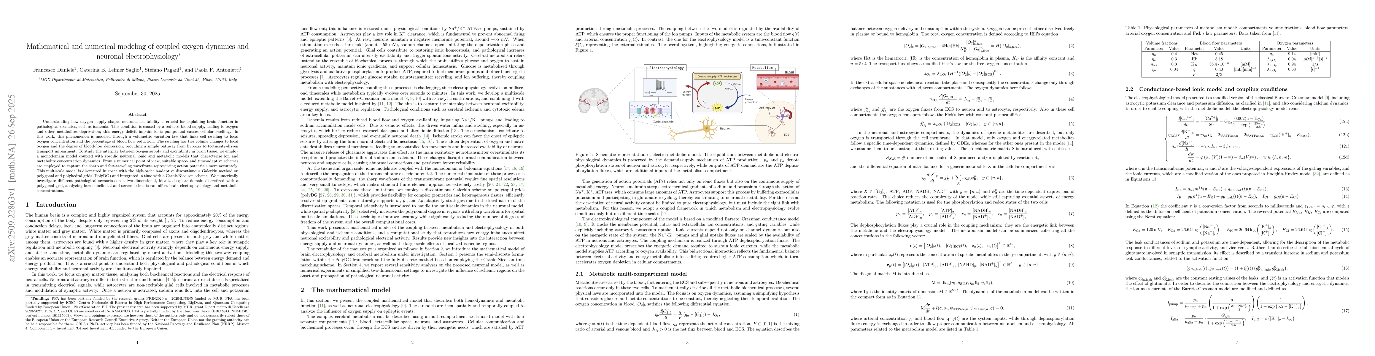 Thumbnail for Mathematical and numerical modeling of coupled oxygen dynamics and
  neuronal electrophysiology