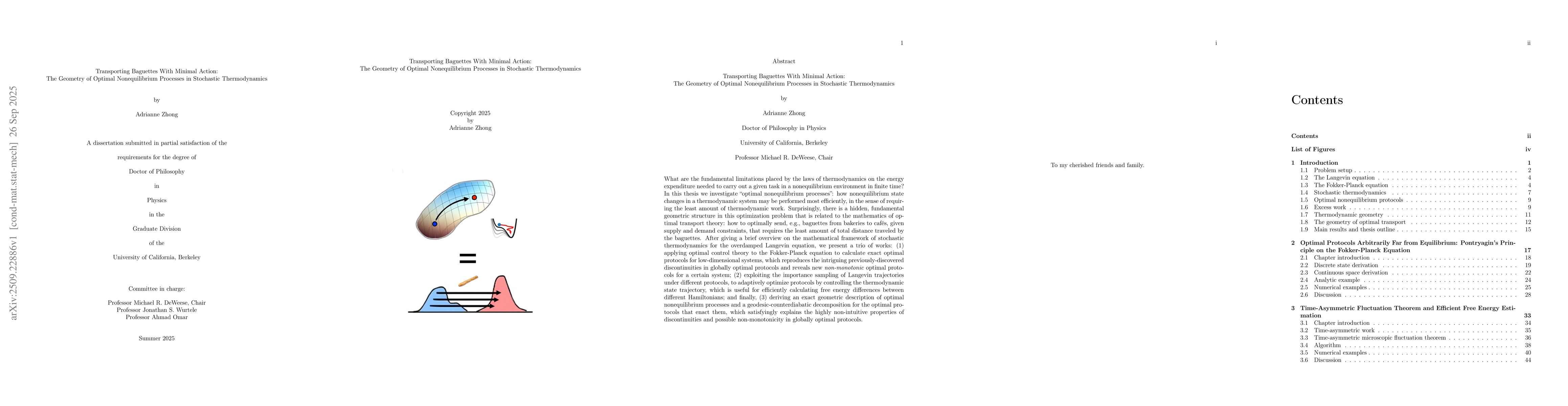 Thumbnail for Transporting Baguettes With Minimal Action: The Geometry of Optimal
  Nonequilibrium Processes in Stochastic Thermodynamics