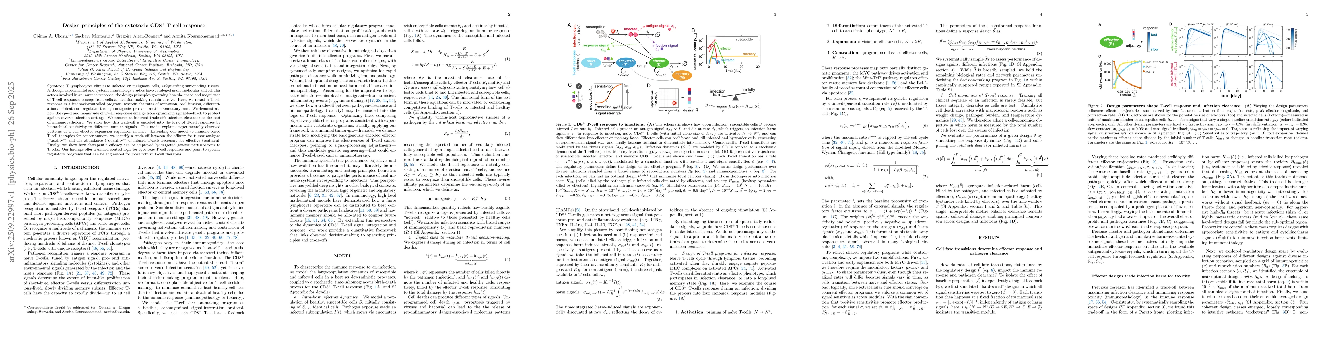 Thumbnail for Design principles of the cytotoxic CD8+ T-cell response