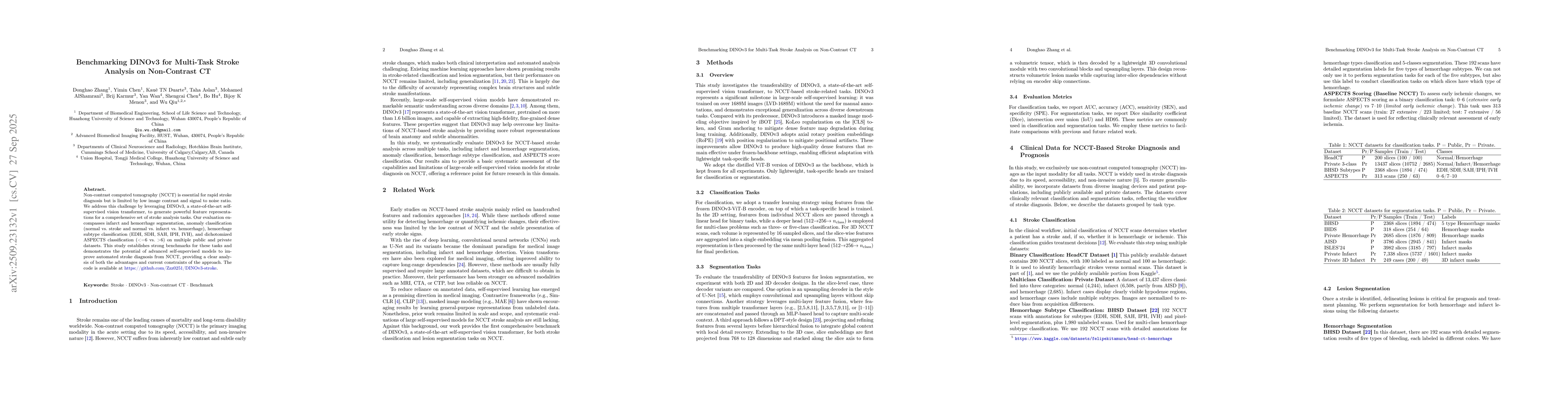 Thumbnail for Benchmarking DINOv3 for Multi-Task Stroke Analysis on Non-Contrast CT