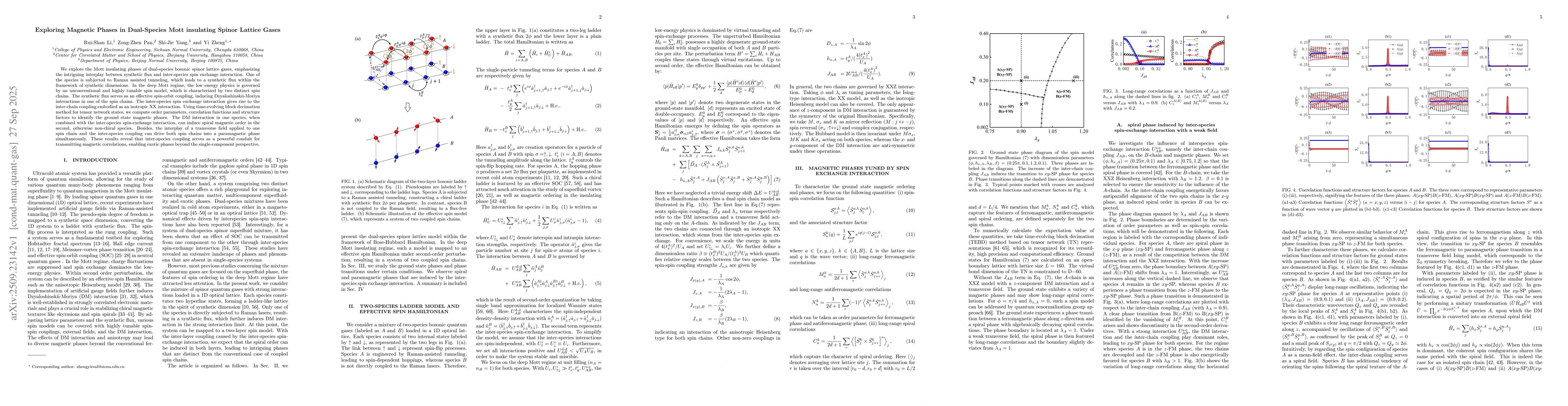 Thumbnail for Exploring Magnetic Phases in Dual-Species Mott insulating Spinor Lattice
  Gases