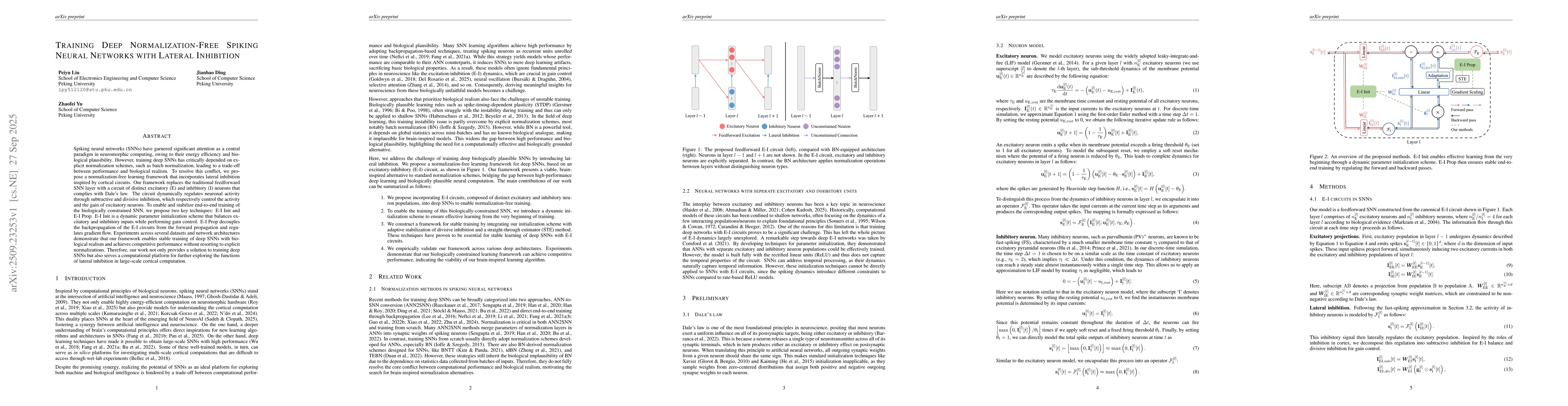 Thumbnail for Training Deep Normalization-Free Spiking Neural Networks with Lateral
  Inhibition