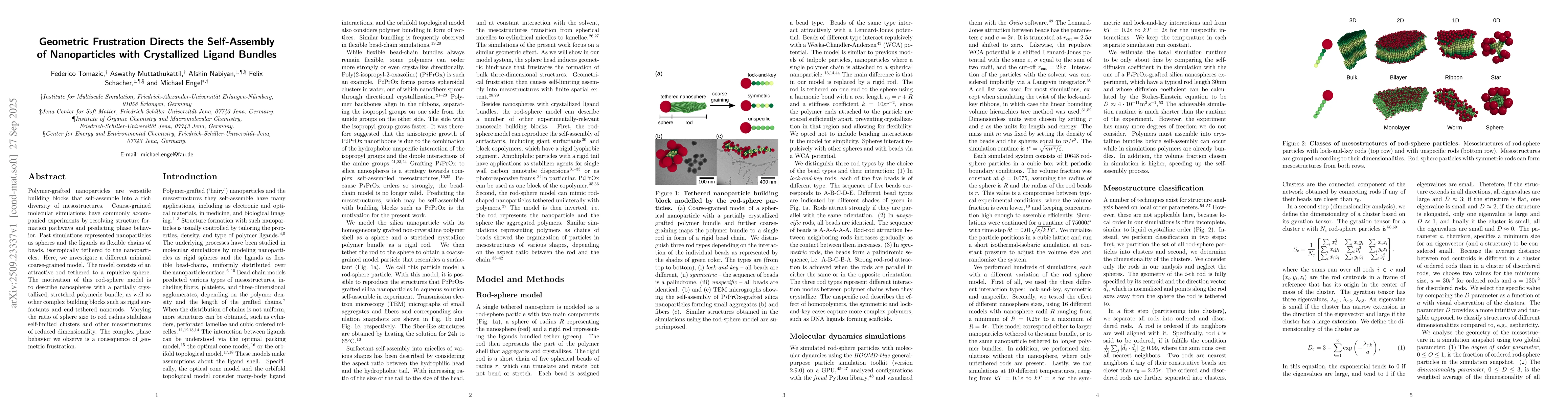 Thumbnail for Geometric Frustration Directs the Self-Assembly of Nanoparticles with
  Crystallized Ligand Bundles