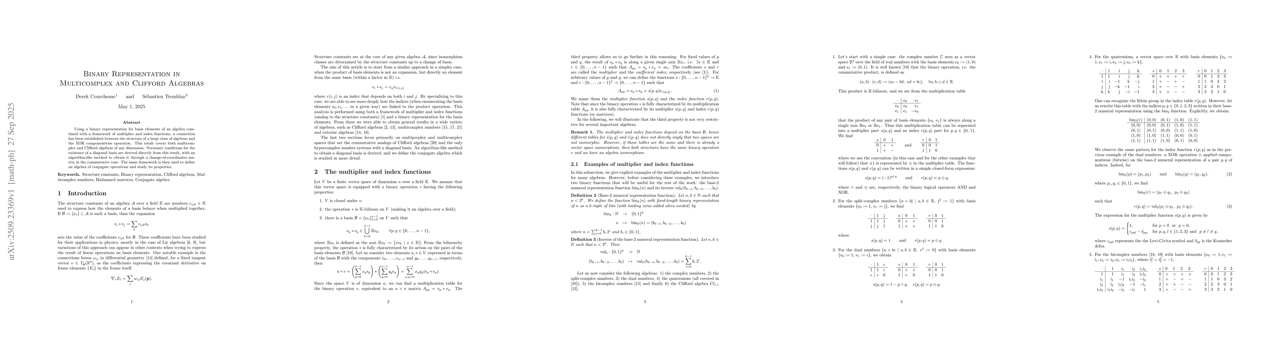 Thumbnail for Binary Representation in Multicomplex and Clifford Algebras