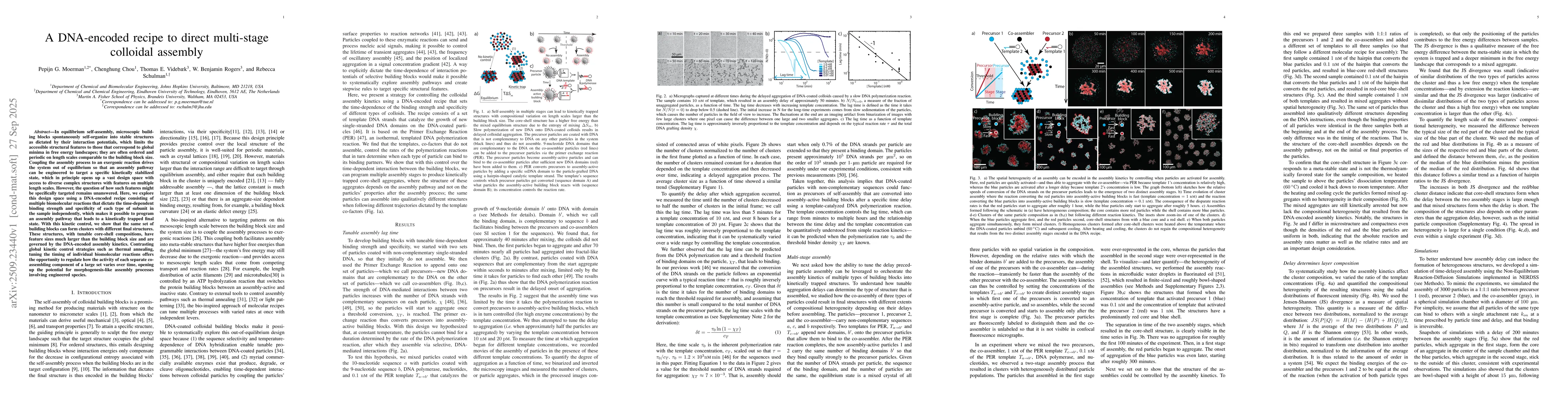 Thumbnail for A DNA-encoded recipe to direct multi-stage colloidal assembly