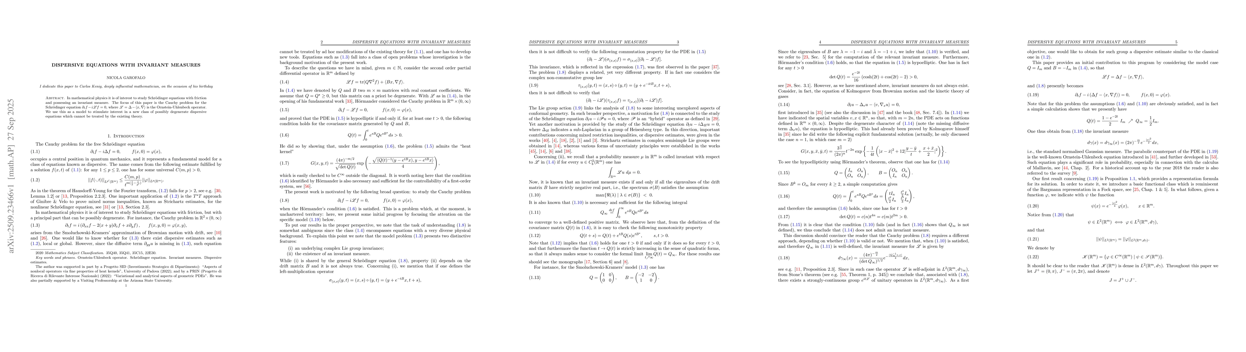 Thumbnail for Dispersive equations with invariant measures