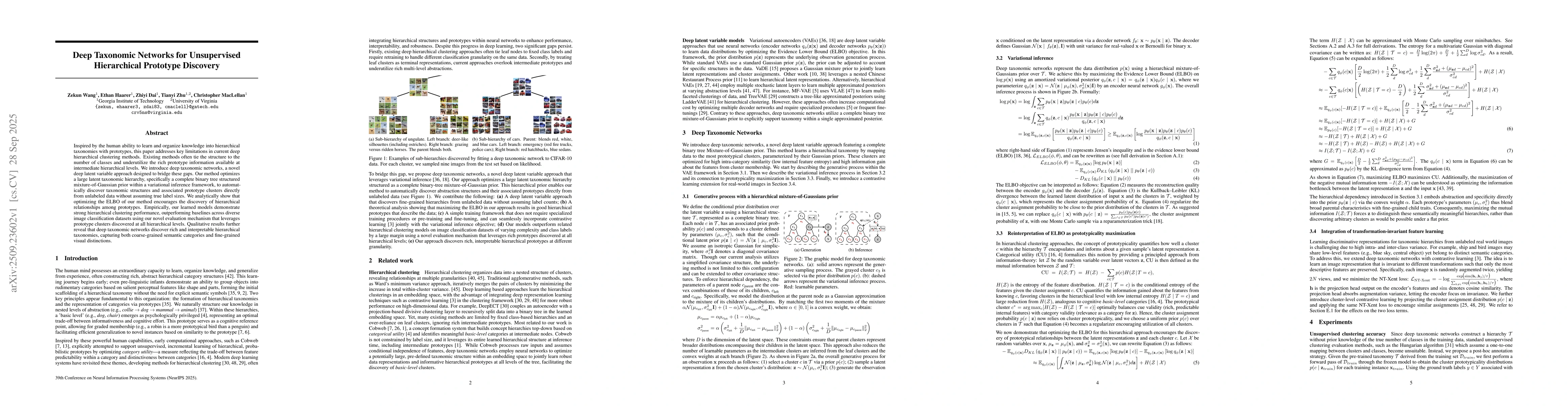 Thumbnail for Deep Taxonomic Networks for Unsupervised Hierarchical Prototype
  Discovery