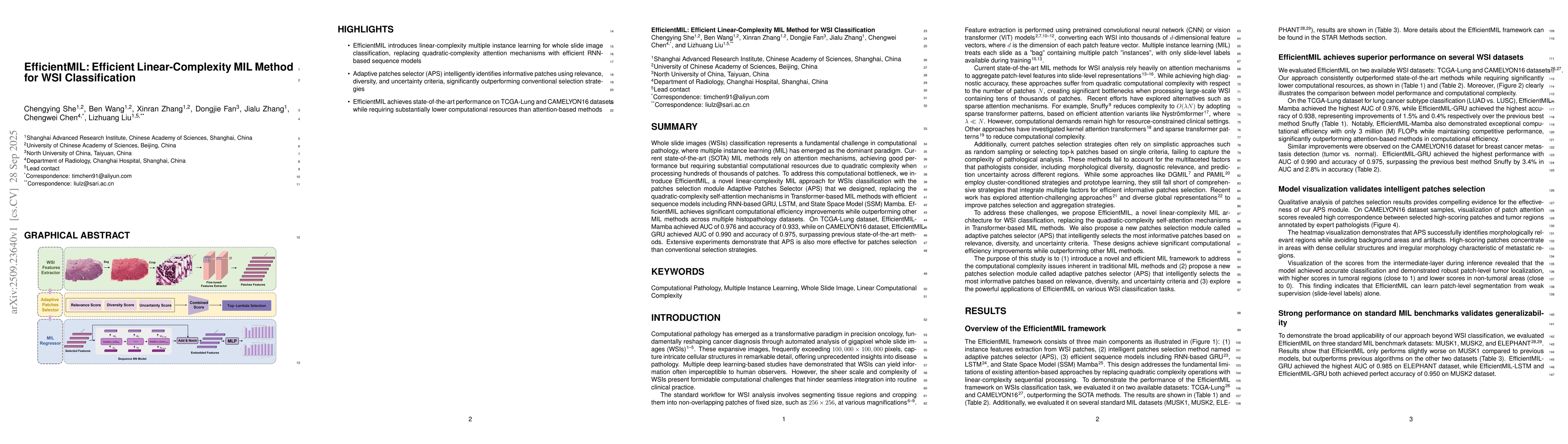 Thumbnail for EfficientMIL: Efficient Linear-Complexity MIL Method for WSI
  Classification