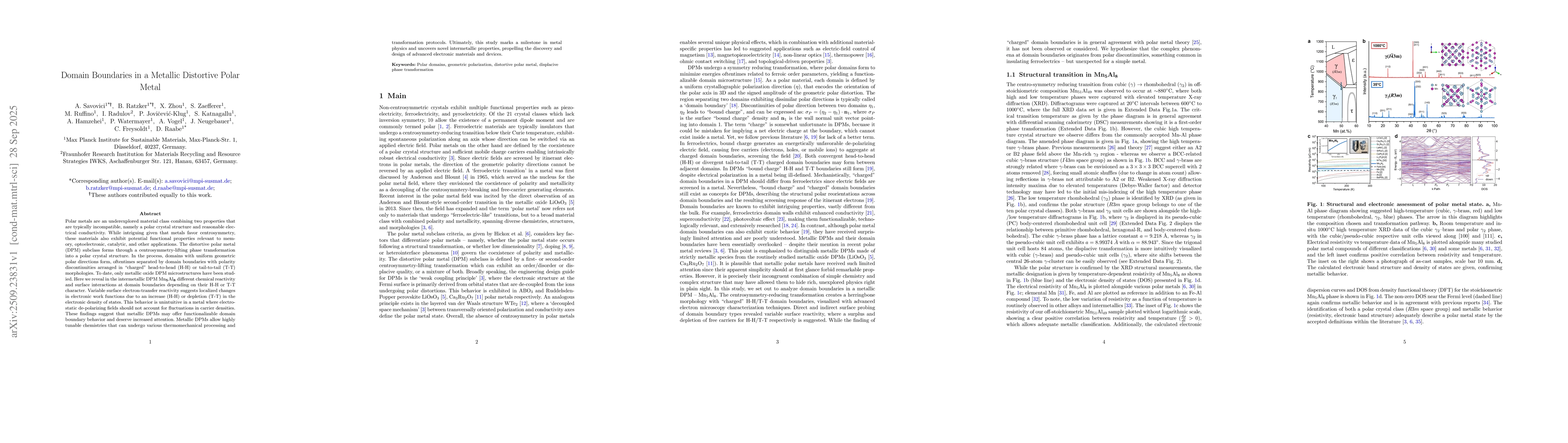 Thumbnail for Domain Boundaries in a Metallic Distortive Polar Metal