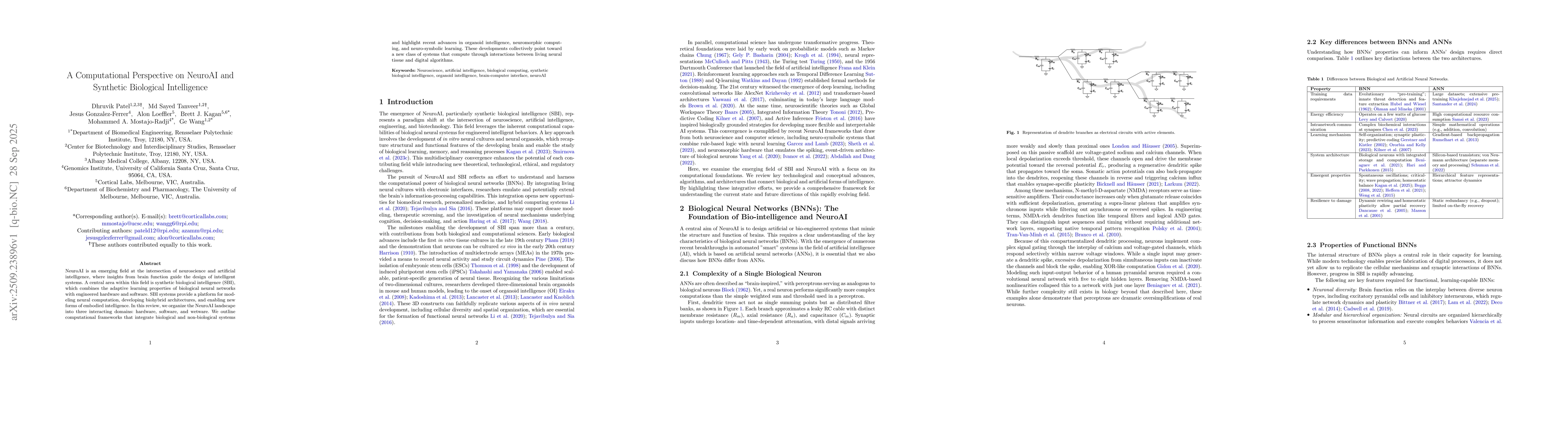 Thumbnail for A Computational Perspective on NeuroAI and Synthetic Biological
  Intelligence