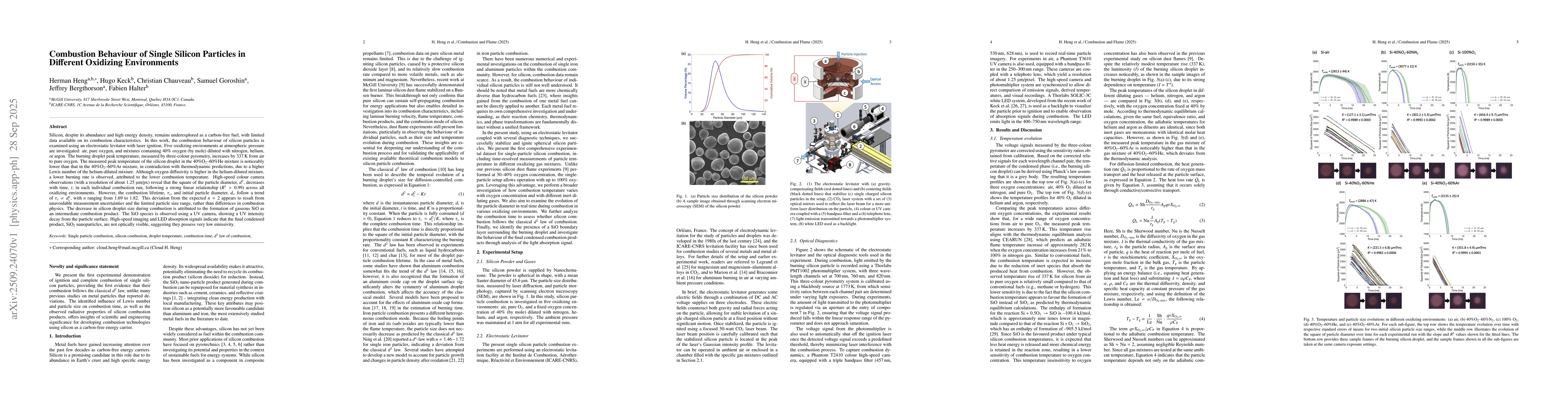 Thumbnail for Combustion Behaviour of Single Silicon Particles in Different Oxidizing
  Environments