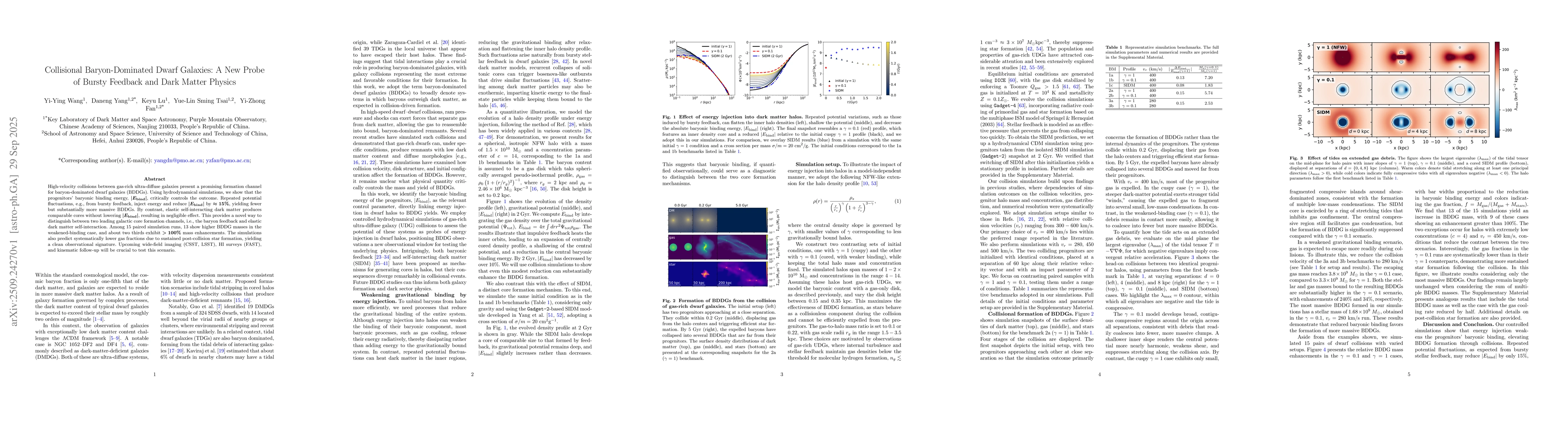 Thumbnail for Collisional Baryon-Dominated Dwarf Galaxies: A New Probe of Bursty
  Feedback and Dark Matter Physics
