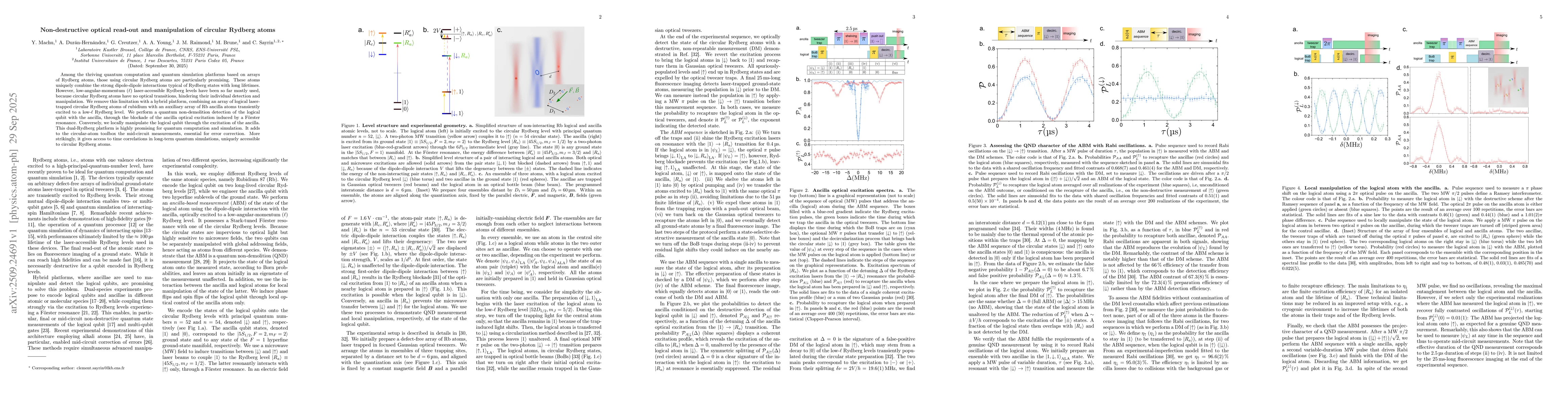 Thumbnail for Non-destructive optical read-out and manipulation of circular Rydberg
  atoms