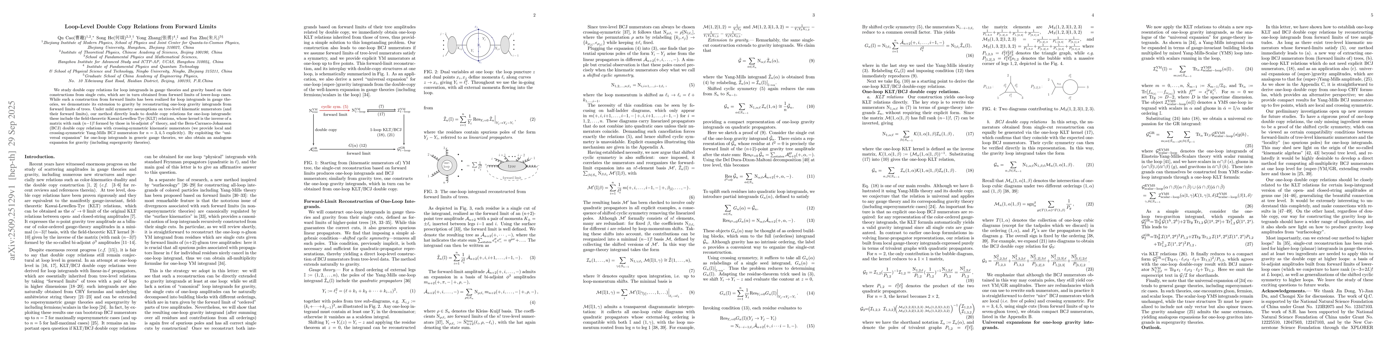 Thumbnail for Loop-Level Double Copy Relations from Forward Limits