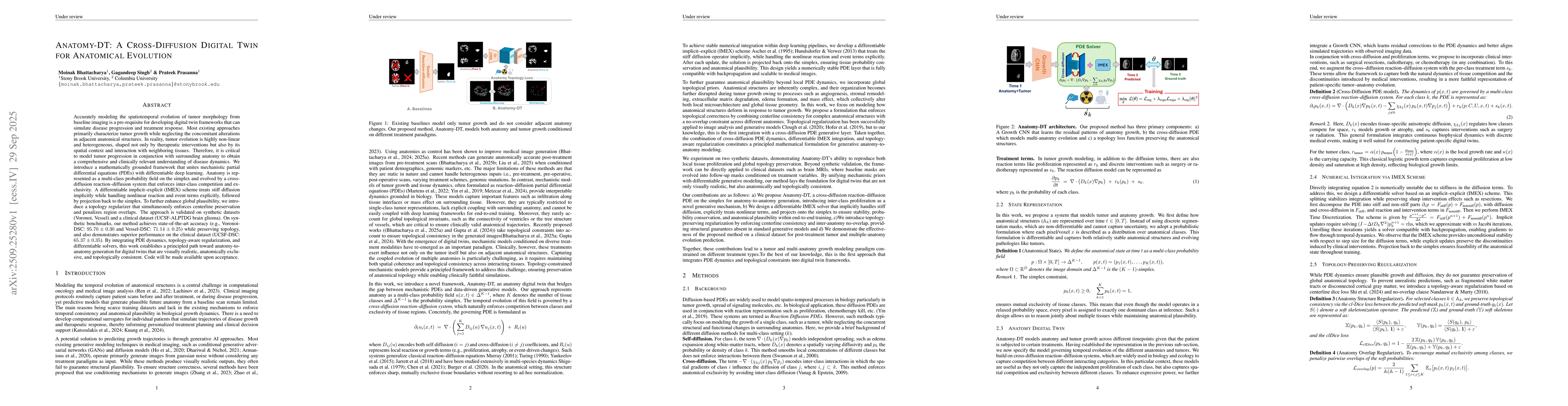 Thumbnail for Anatomy-DT: A Cross-Diffusion Digital Twin for Anatomical Evolution