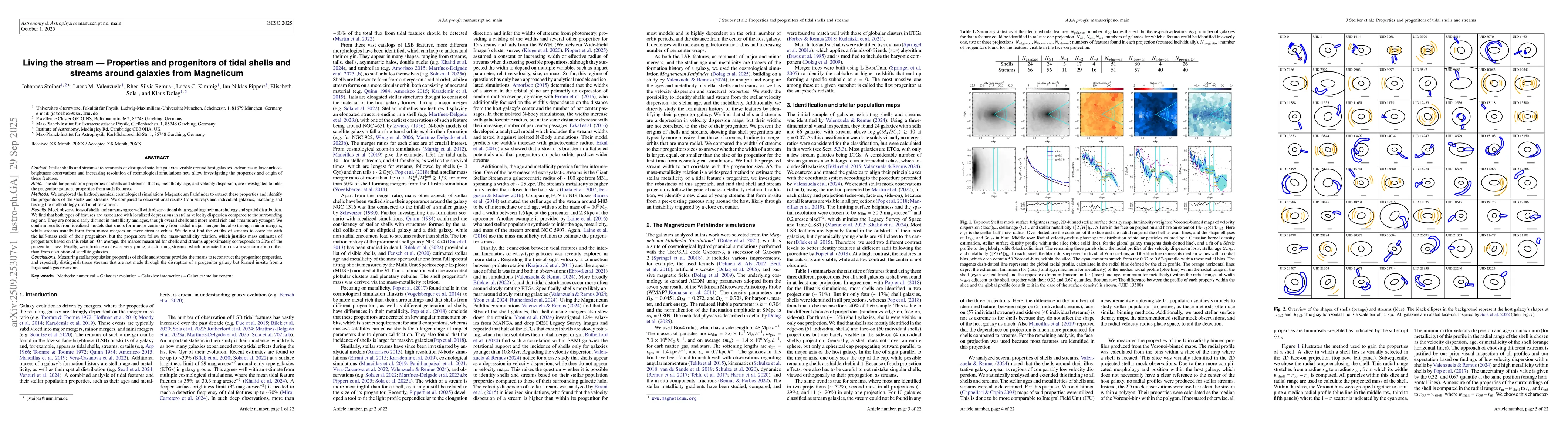 Thumbnail for Living the stream: Properties and progenitors of tidal shells and
  streams around galaxies from Magneticum