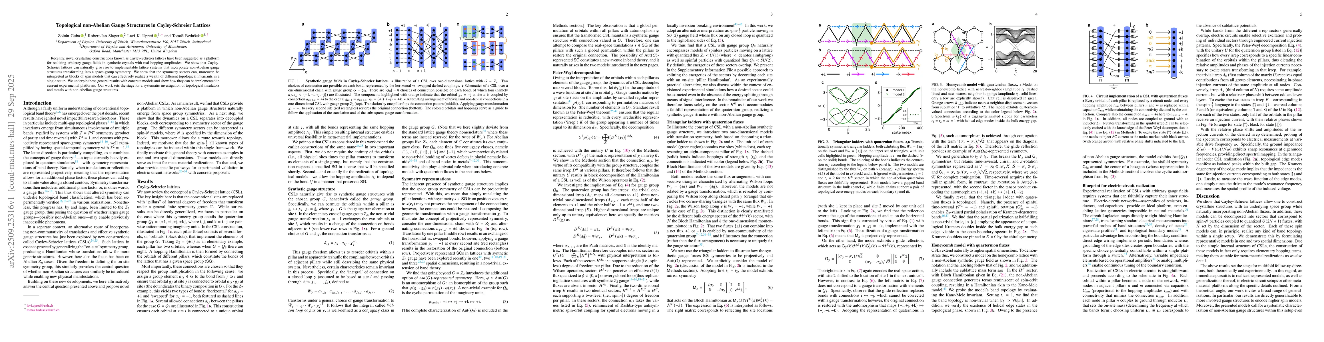 Thumbnail for Topological non-Abelian Gauge Structures in Cayley-Schreier Lattices