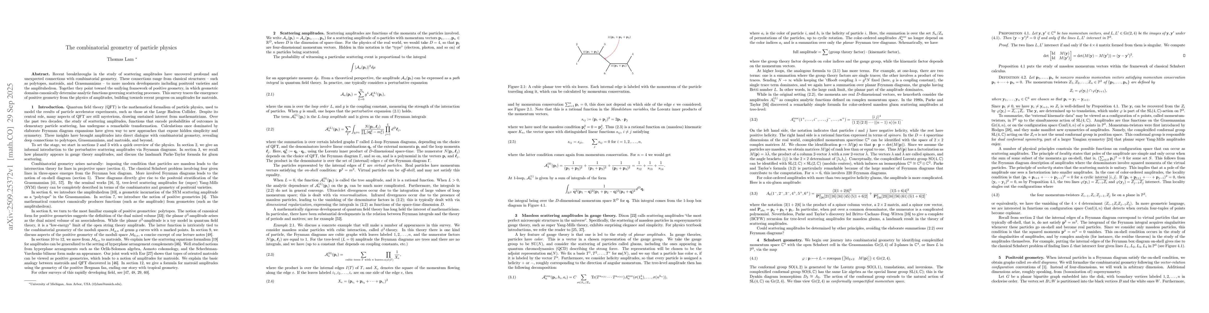 Thumbnail for The combinatorial geometry of particle physics