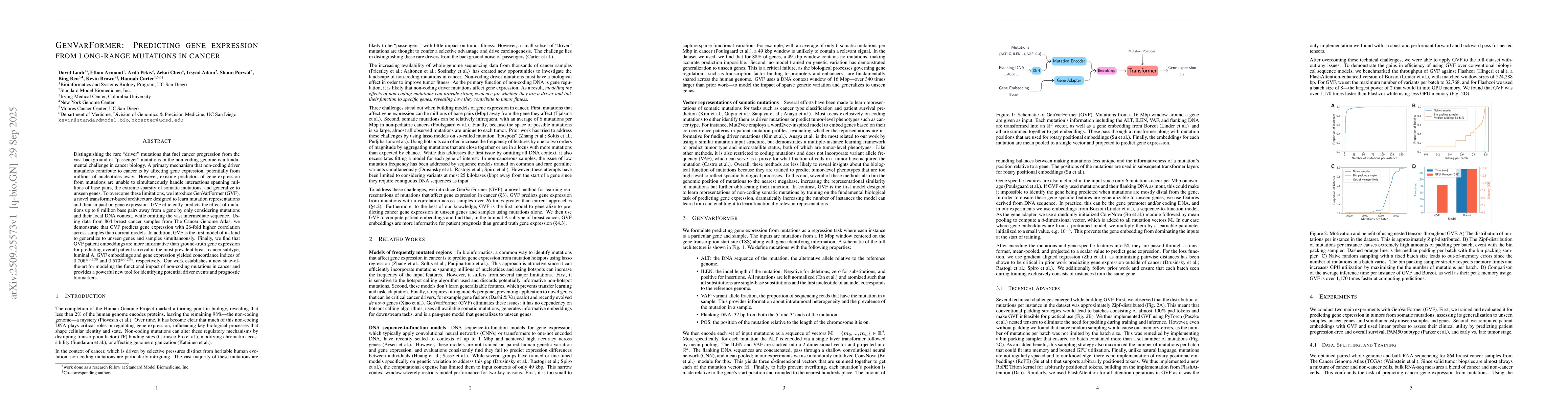 Thumbnail for GenVarFormer: Predicting gene expression from long-range mutations in
  cancer