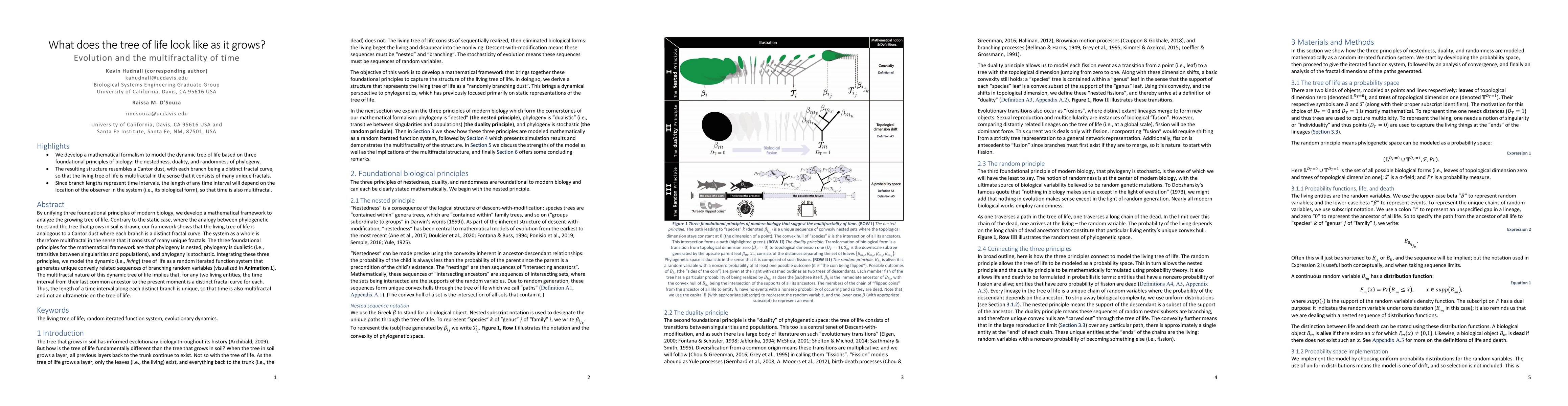 Thumbnail for What does the tree of life look like as it grows? Evolution and the
  multifractality of time
