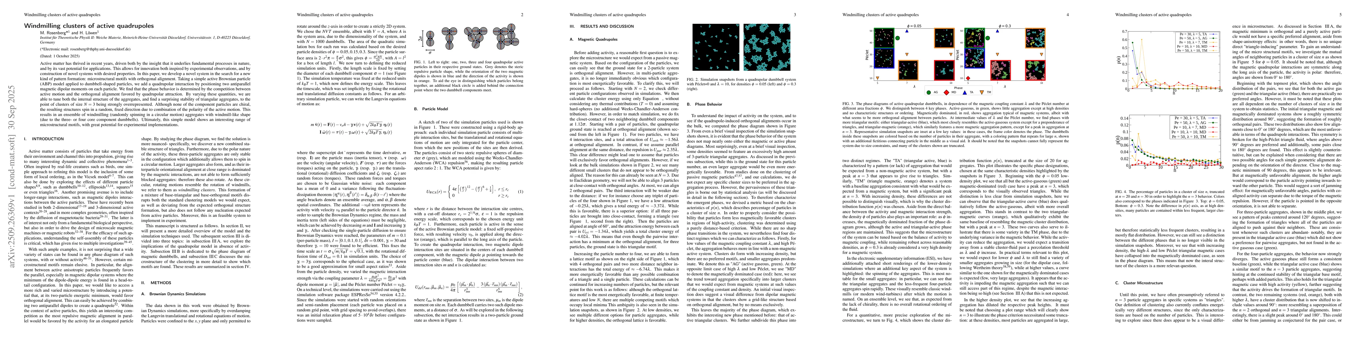 Thumbnail for Windmilling clusters of active quadrupoles