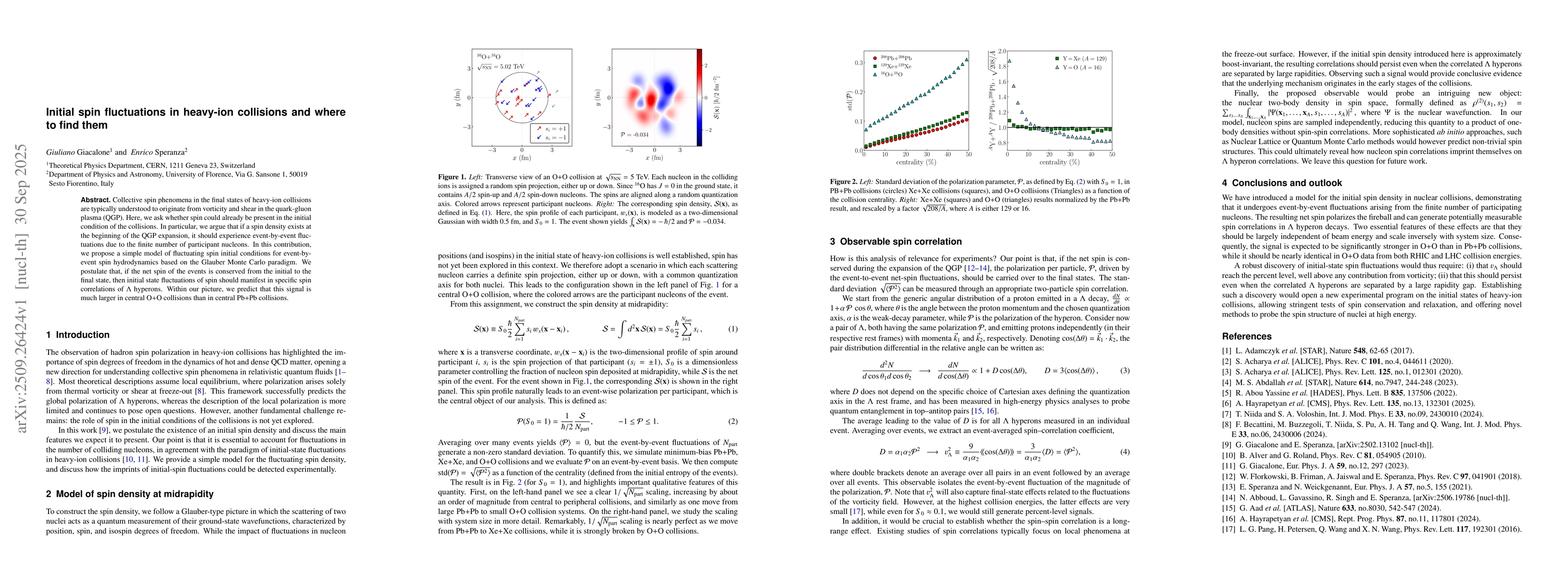 Thumbnail for Initial spin fluctuations in heavy-ion collisions and where to find them