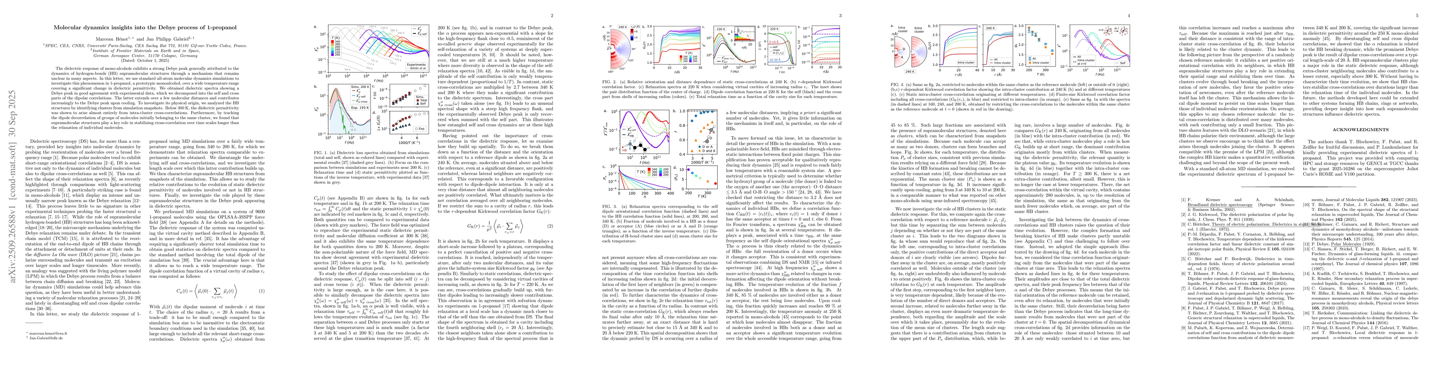 Thumbnail for Molecular dynamics insights into the Debye process of 1-propanol