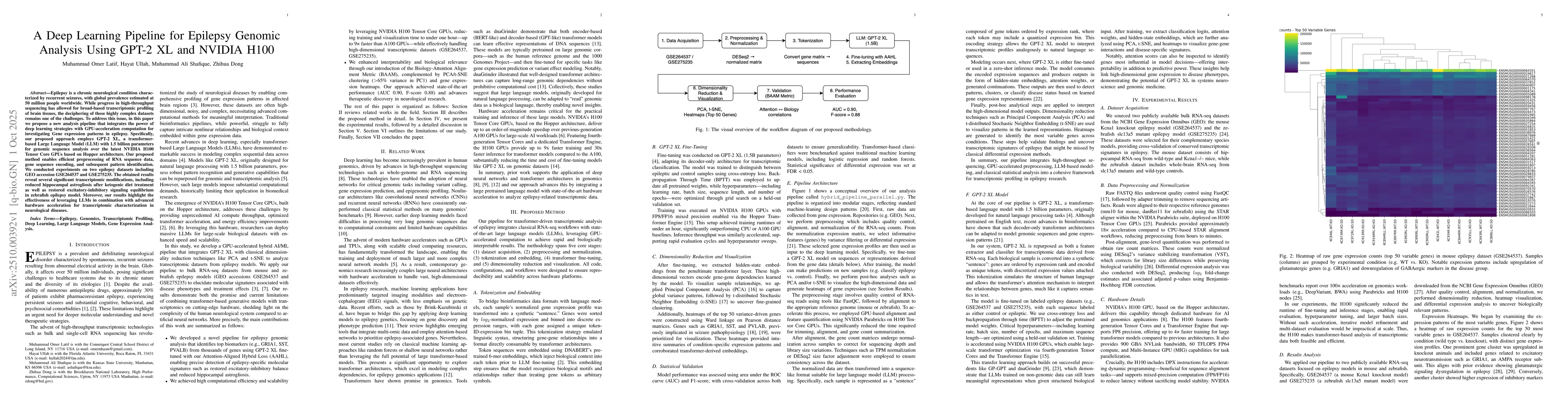 Thumbnail for A Deep Learning Pipeline for Epilepsy Genomic Analysis Using GPT-2 XL
  and NVIDIA H100