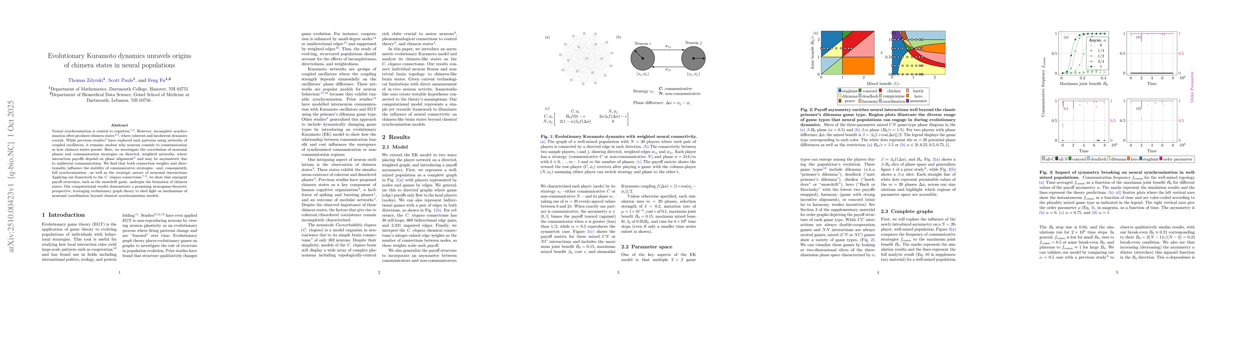 Thumbnail for Evolutionary Kuramoto dynamics unravels origins of chimera states in
  neural populations