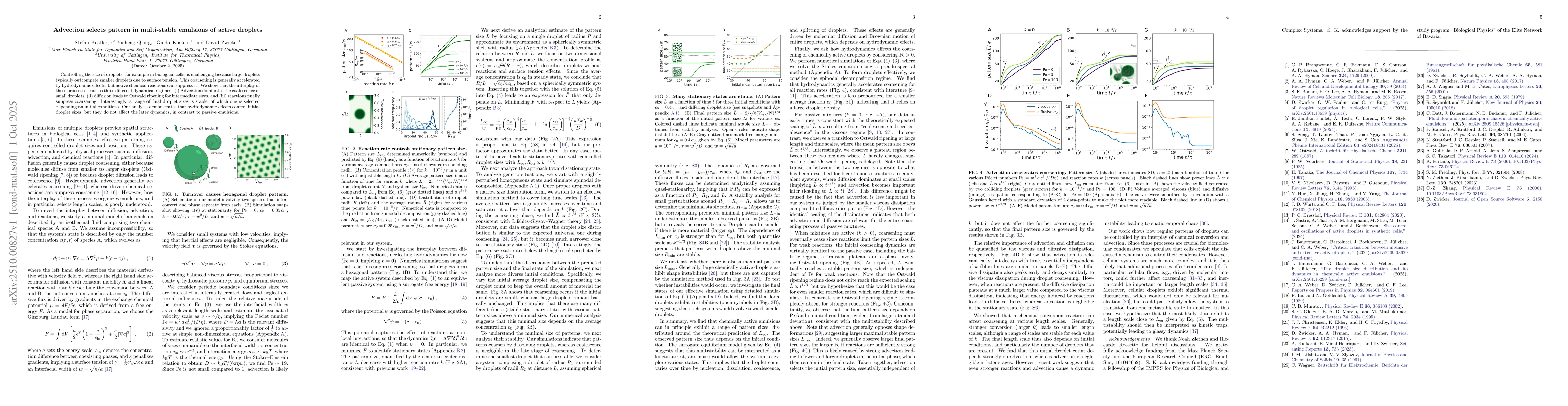 Thumbnail for Advection selects pattern in multi-stable emulsions of active droplets