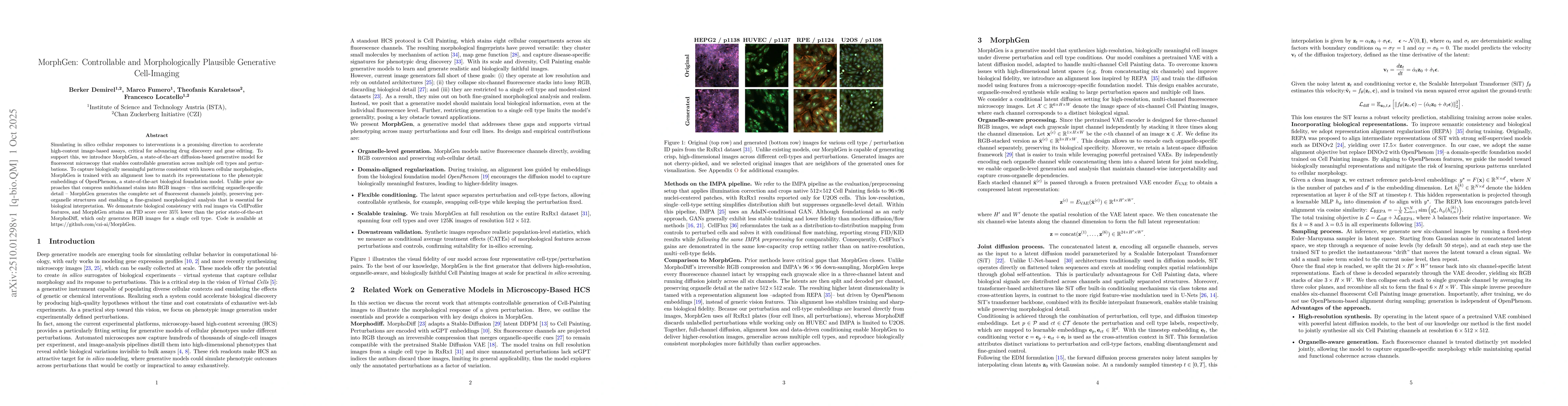 Thumbnail for MorphGen: Controllable and Morphologically Plausible Generative
  Cell-Imaging
