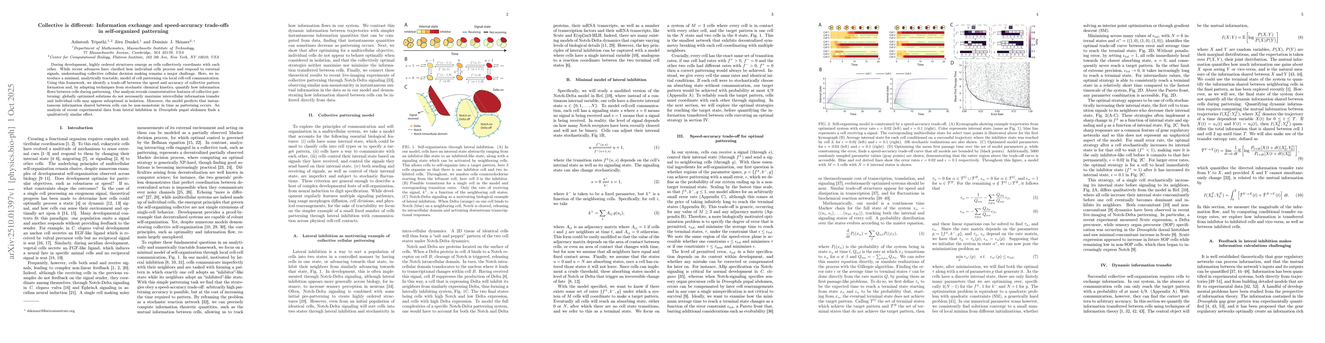 Thumbnail for Collective is different: Information exchange and speed-accuracy
  trade-offs in self-organized patterning