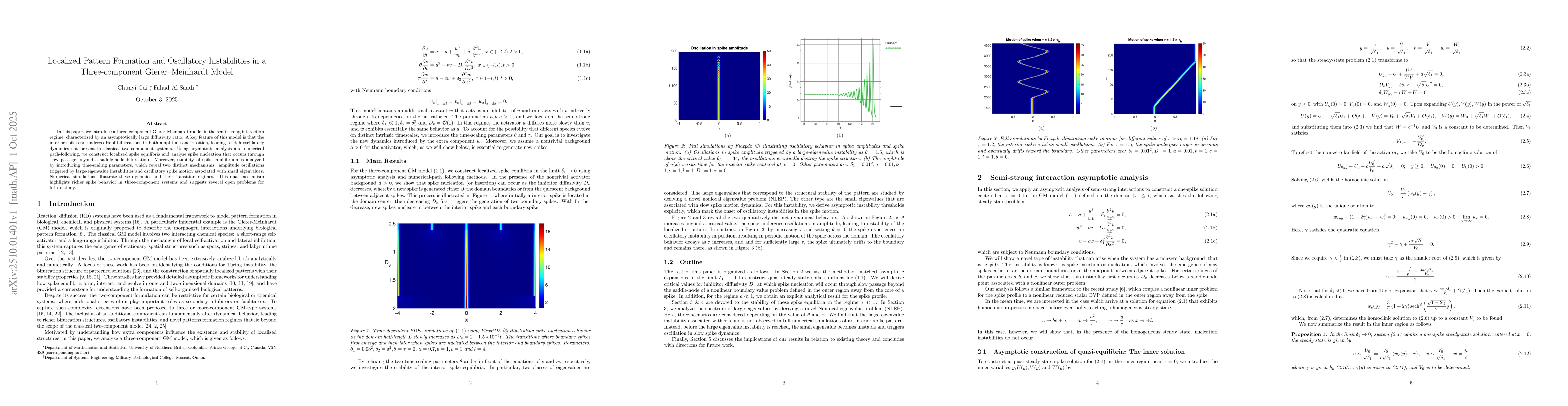 Thumbnail for Localized Pattern Formation and Oscillatory Instabilities in a
  Three-component Gierer Meinhardt Model