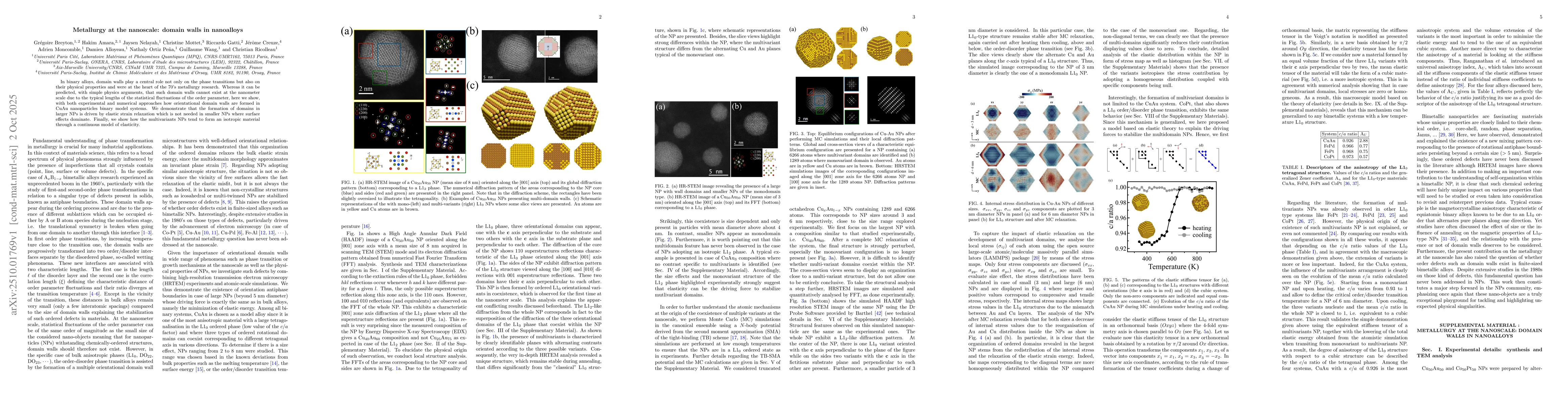 Thumbnail for Metallurgy at the nanoscale: domain walls in nanoalloys