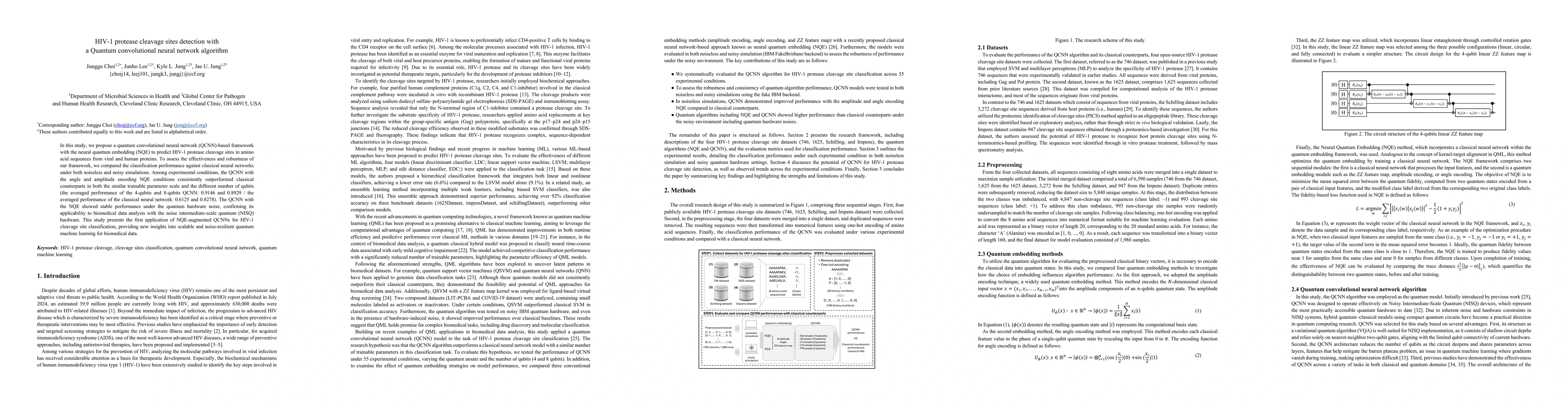 Thumbnail for HIV-1 protease cleavage sites detection with a Quantum convolutional
  neural network algorithm