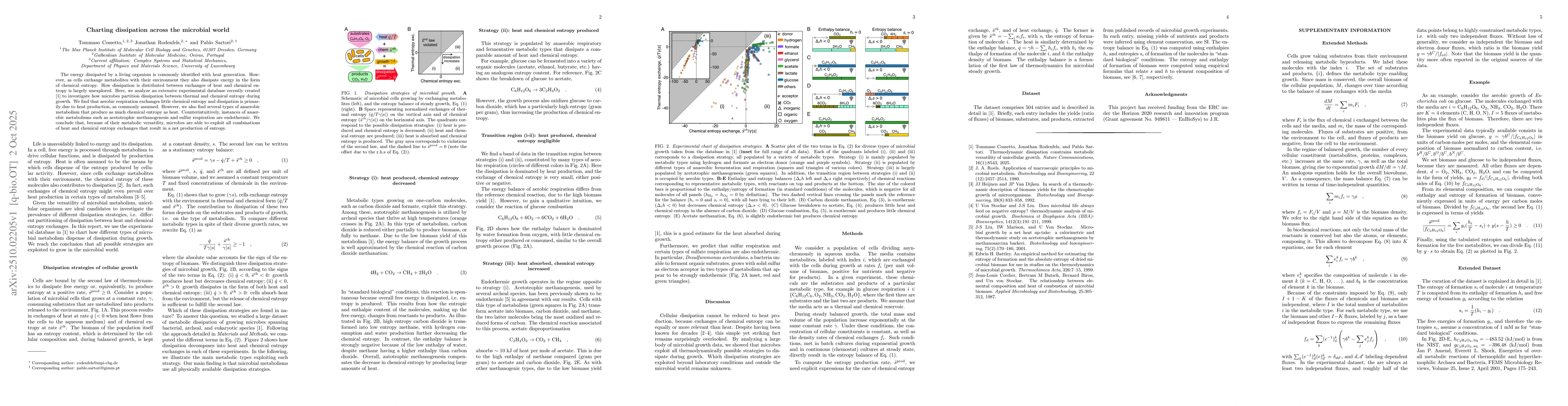 Thumbnail for Charting dissipation across the microbial world