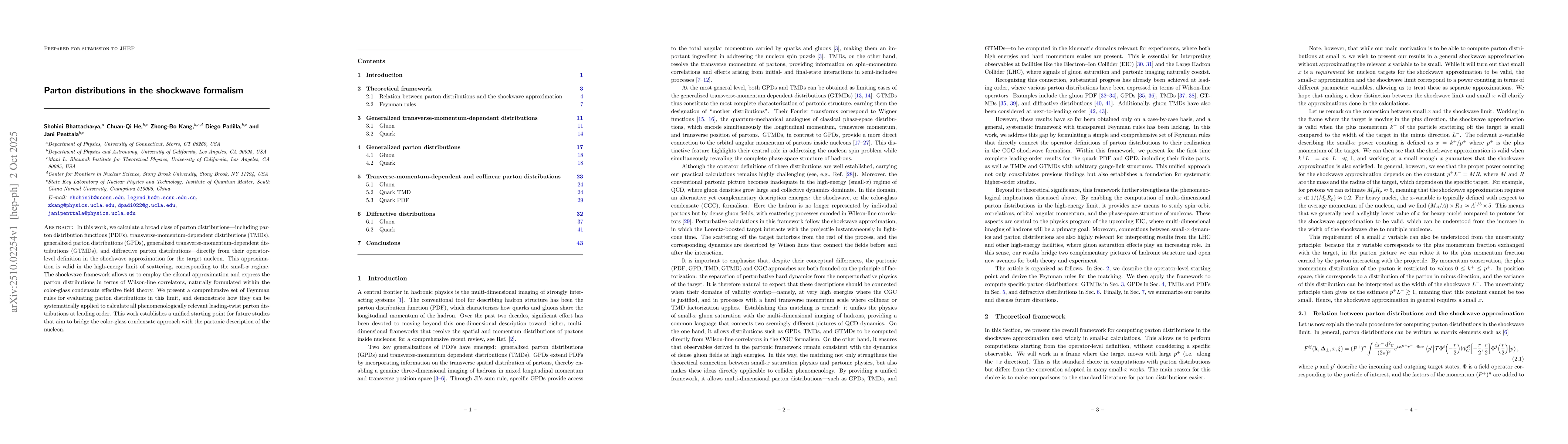 Thumbnail for Parton distributions in the shockwave formalism