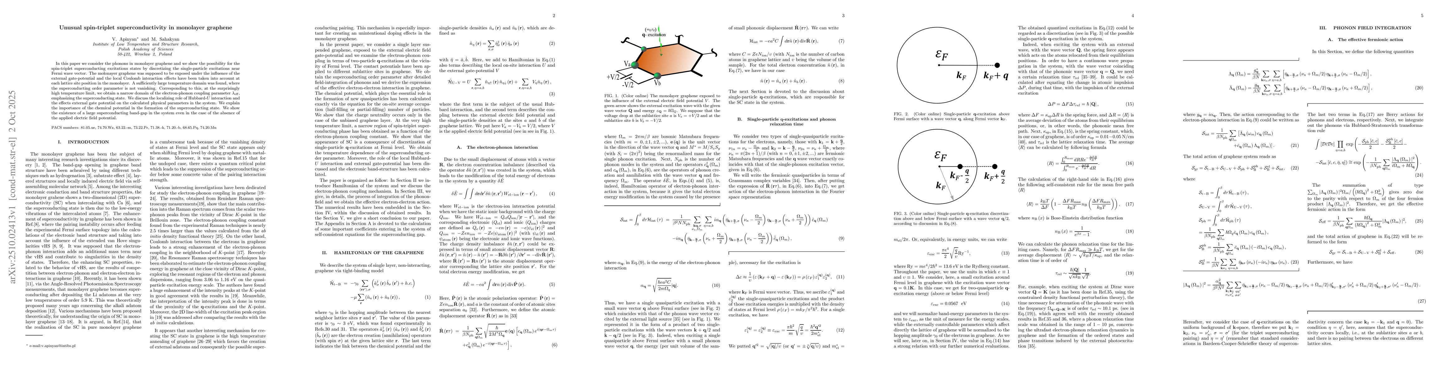 Thumbnail for Unusual spin-triplet superconductivity in monolayer graphene