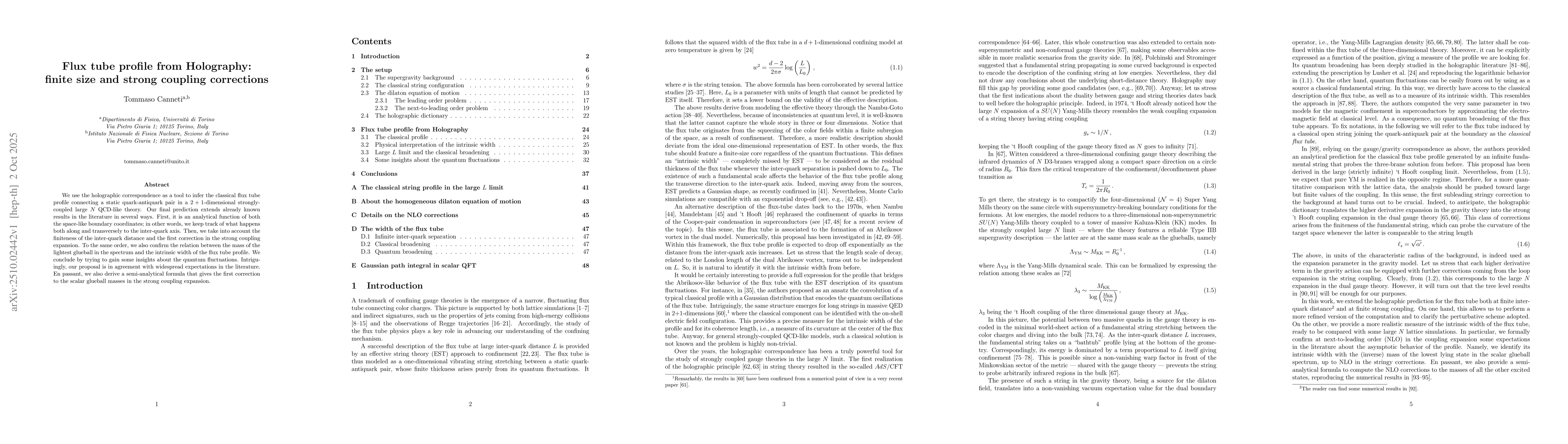 Thumbnail for Flux tube profile from Holography: finite size and strong coupling
  corrections