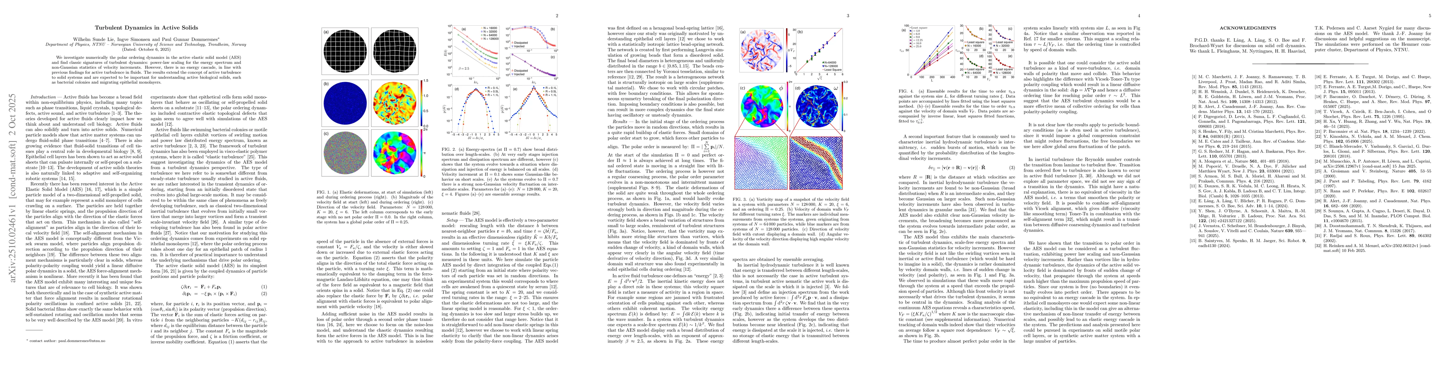 Thumbnail for Turbulent Dynamics in Active Solids
