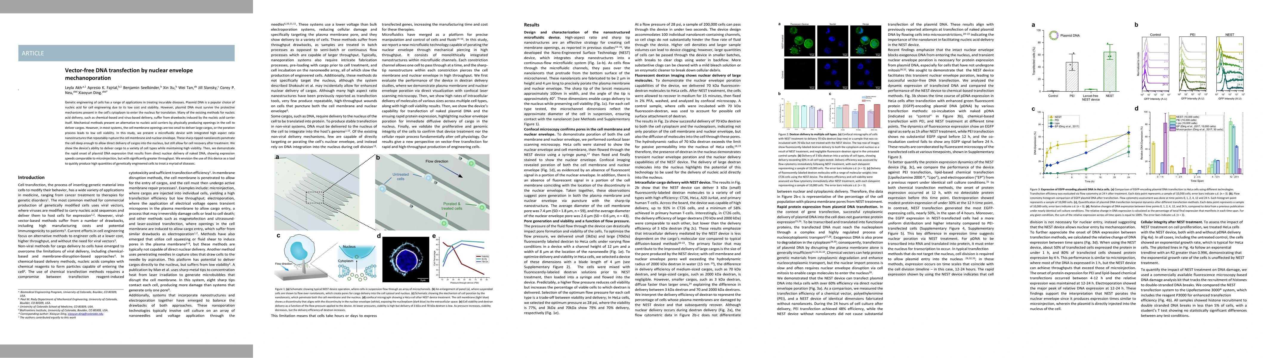 Thumbnail for Vector-free DNA transfection by nuclear envelope mechanoporation
