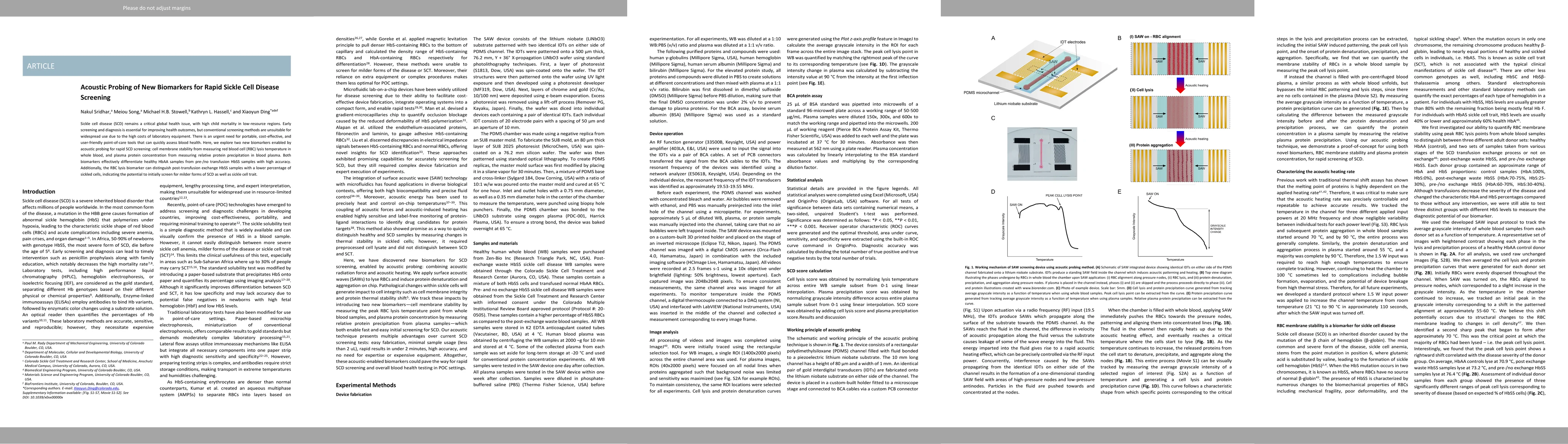Thumbnail for Acoustic Probing of New Biomarkers for Rapid Sickle Cell Disease
  Screening