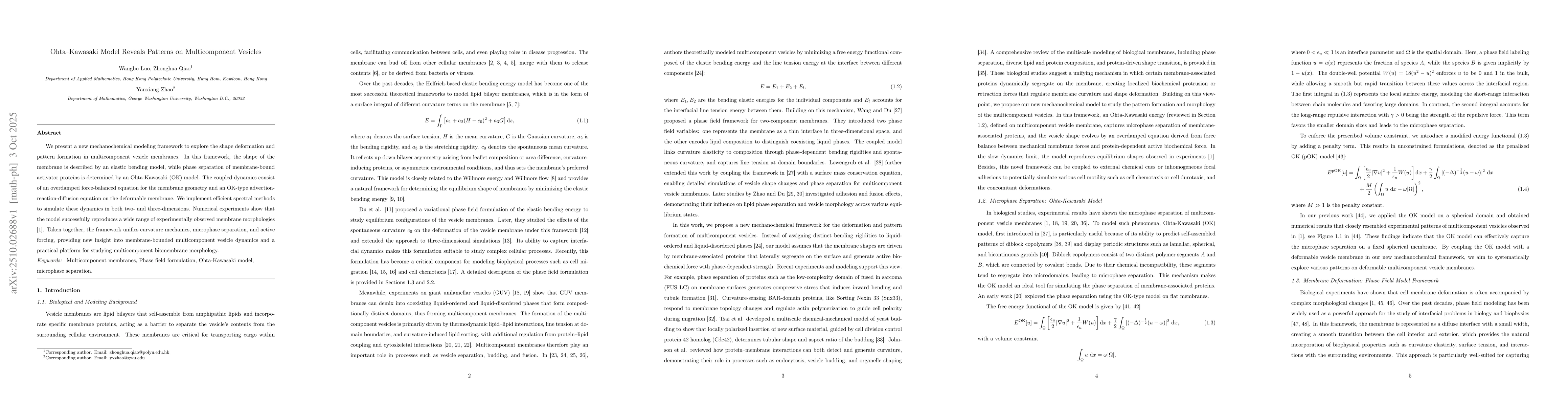 Thumbnail for Ohta-Kawasaki Model Reveals Patterns on Multicomponent Vesicles