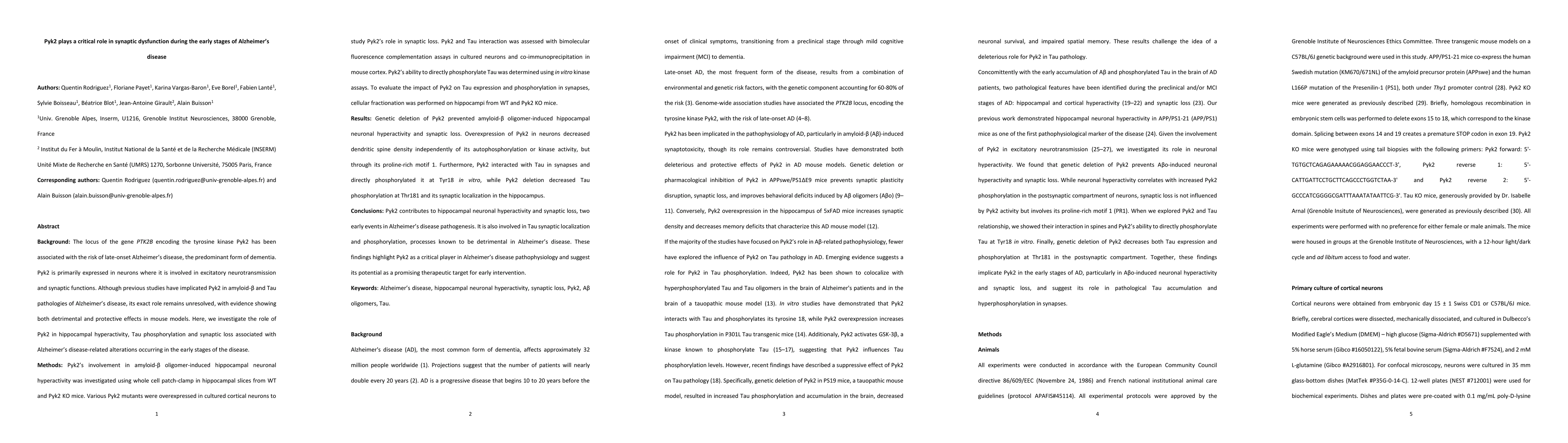 Thumbnail for Pyk2 plays a critical role in synaptic dysfunction during the early
  stages of Alzheimer's disease