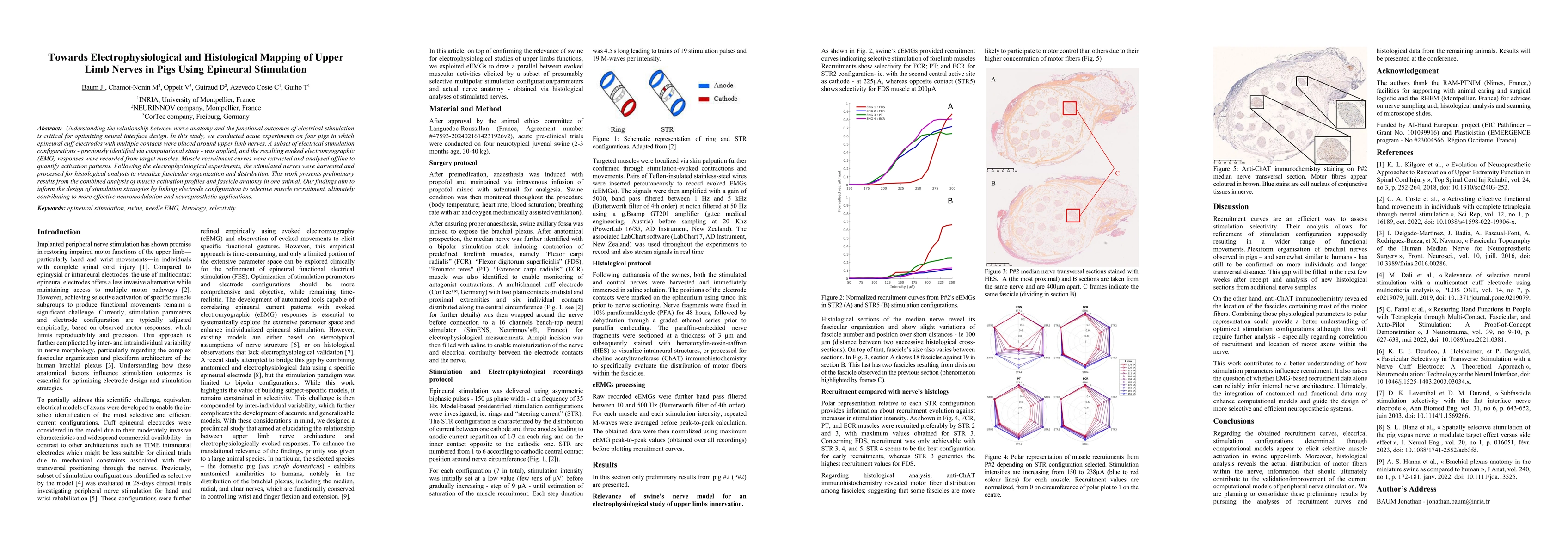 Thumbnail for Towards Electrophysiological and Histological Mapping of Upper Limb
  Nerves in Pigs Using Epineural Stimulation