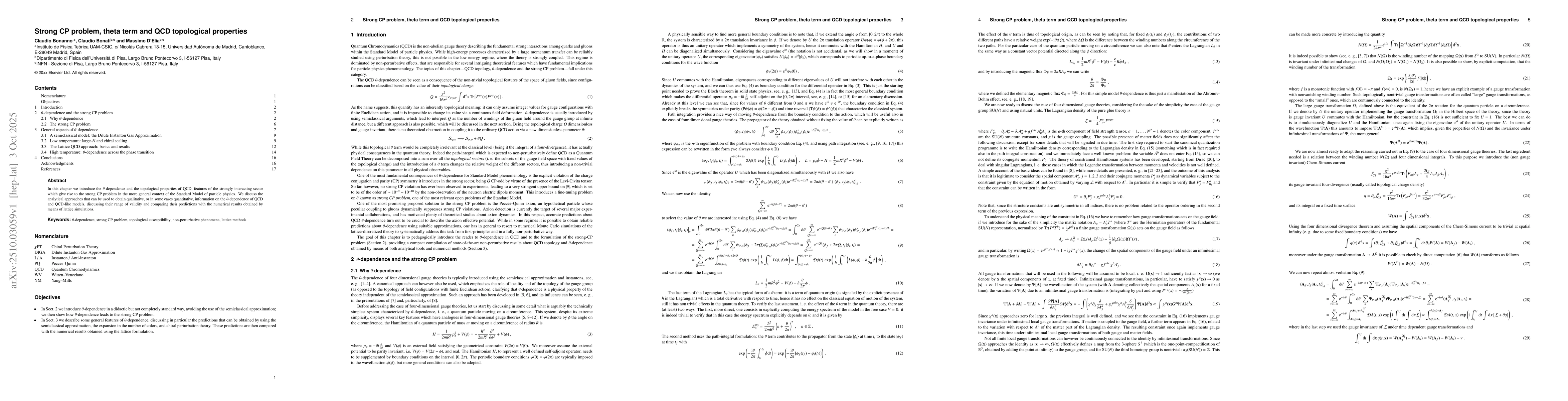 Thumbnail for Strong CP problem, theta term and QCD topological properties