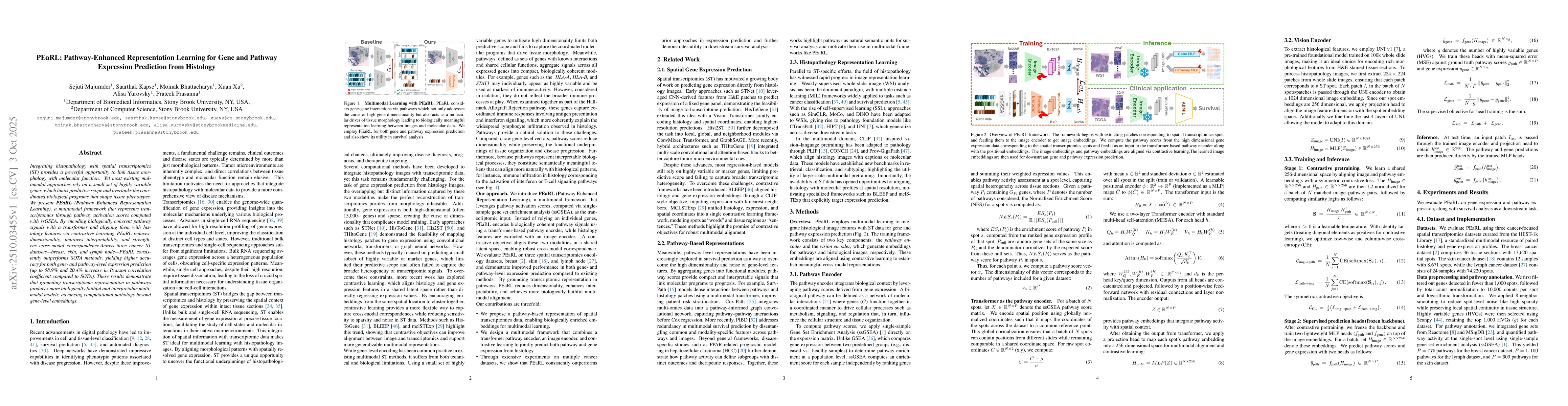 Thumbnail for PEaRL: Pathway-Enhanced Representation Learning for Gene and Pathway
  Expression Prediction from Histology